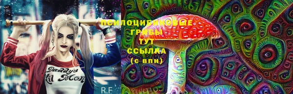 MESCALINE Аркадак