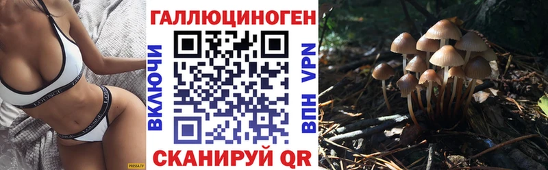 Псилоцибиновые грибы Psilocybine cubensis  Новодвинск 